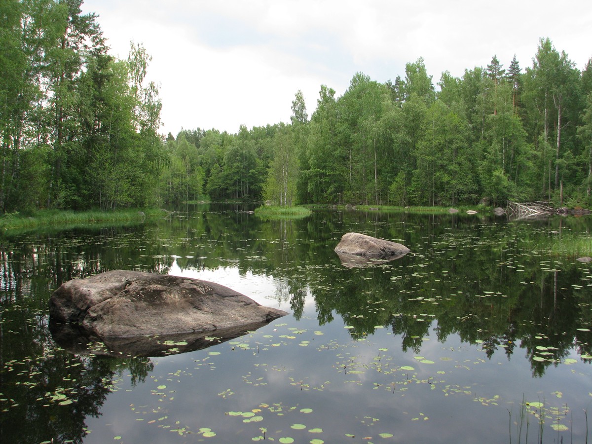 Vaihtuva kuva
